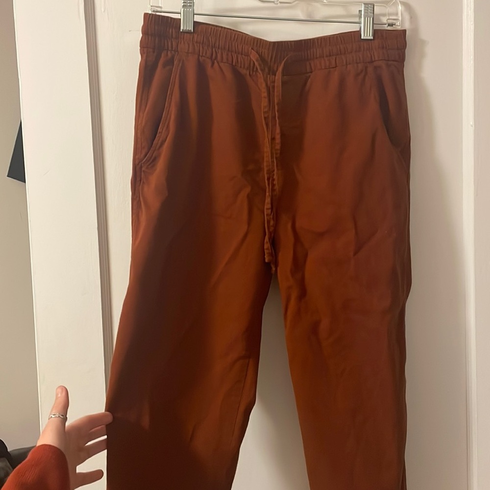 Gap burnt orange pants